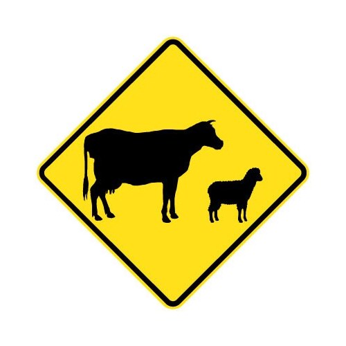 Livestock Crossing Road Warning Sign - Class 1 Reflective -  600mm x 600mm