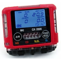 RKI Instruments GX-2009 Gas Detector