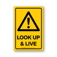 Look Up & Live Stickers - Pack of 10