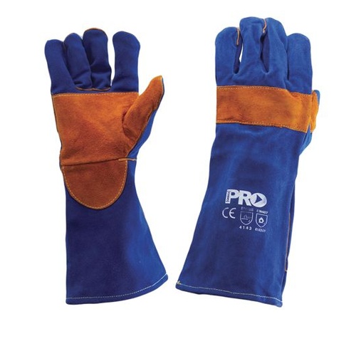 Blue & Gold Kevlar Premium Glove