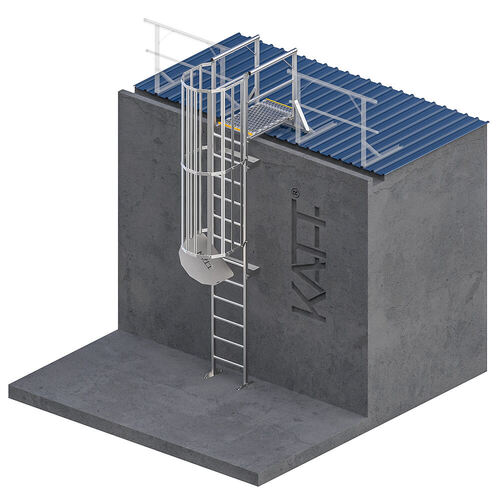 Vertical Cage Ladder with Grabrails and 1.0m Landing