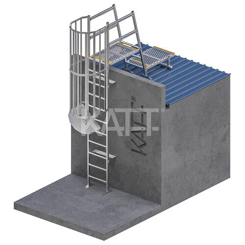 Vertical Cage Ladder with Grabrails, Parapet Platform and 1.0m Landing