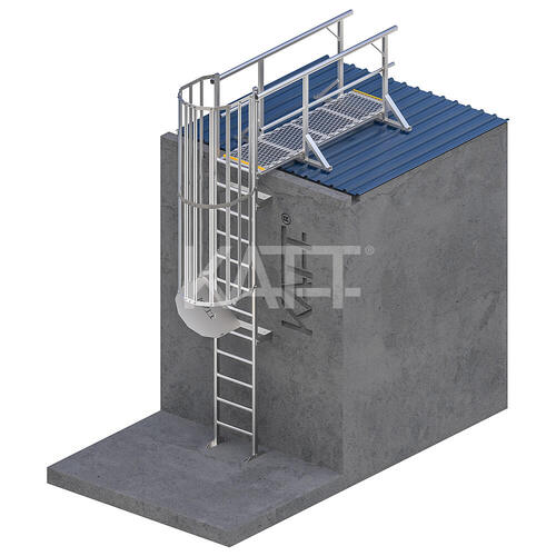 Vertical Cage Ladder with 2.4m Adjustable Access Kit