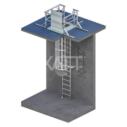 Vertical Cage Ladder - Internal Access