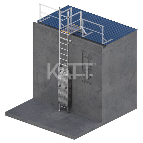 Vertical Line Ladder with Grabrails and 1.0m Landing
