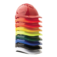 Coloured Hard Hat Scheme? Is it for us?