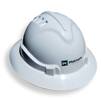Are you able to print shaded colour logos on hard hats?