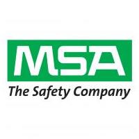 MSA